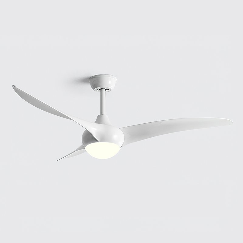 Indoor Ceiling Fan Light