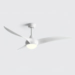 Indoor Ceiling Fan Light