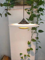 Ipno Led Pendant Light