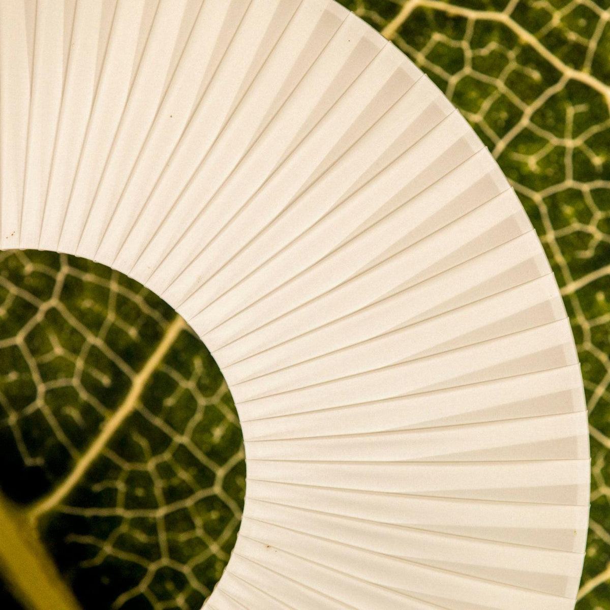 Iris Floor