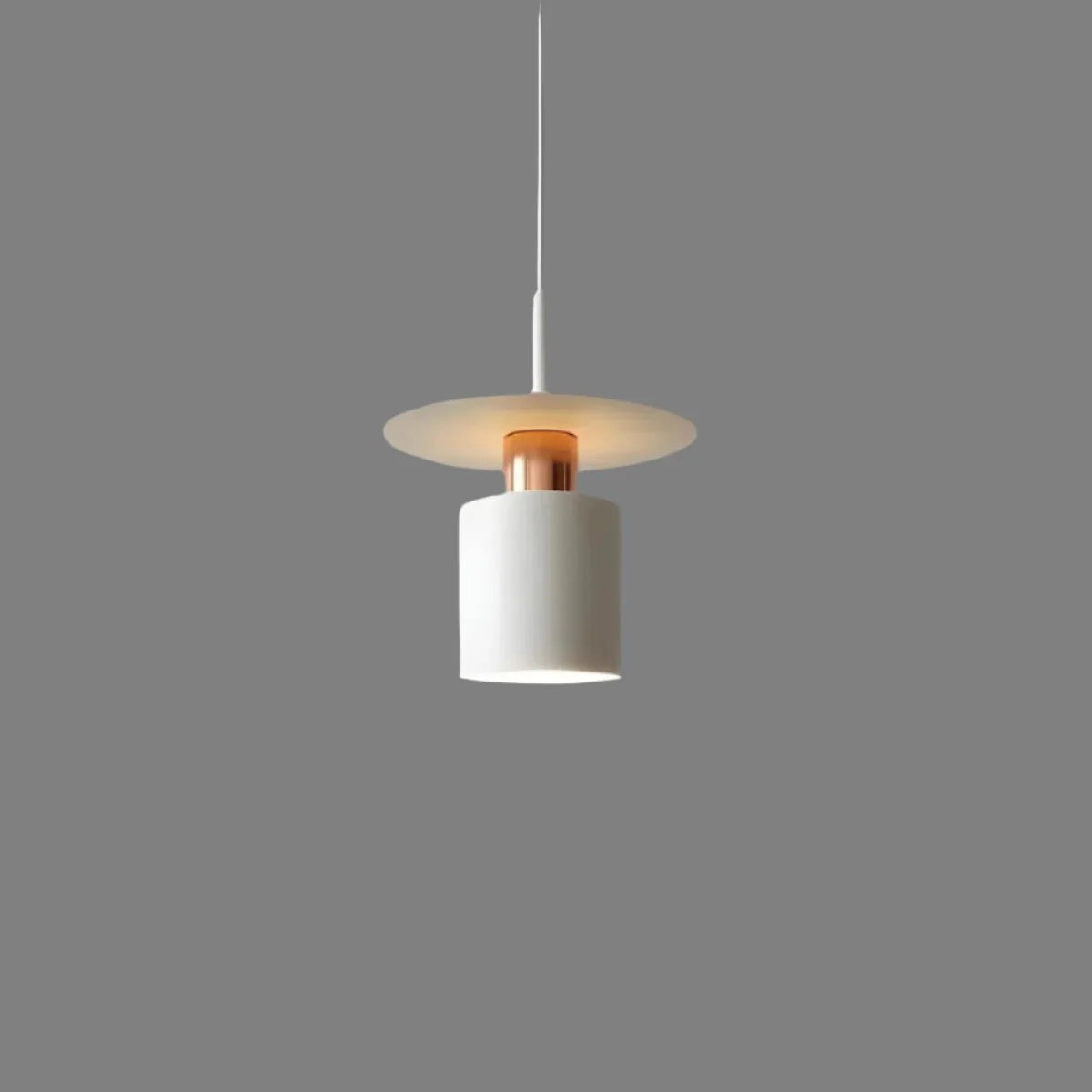 Modern Stylish Pendant Light