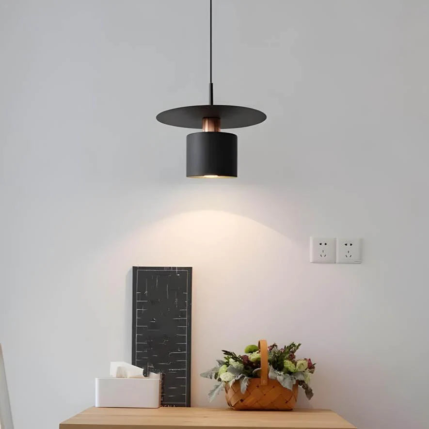 Modern Stylish Pendant Light