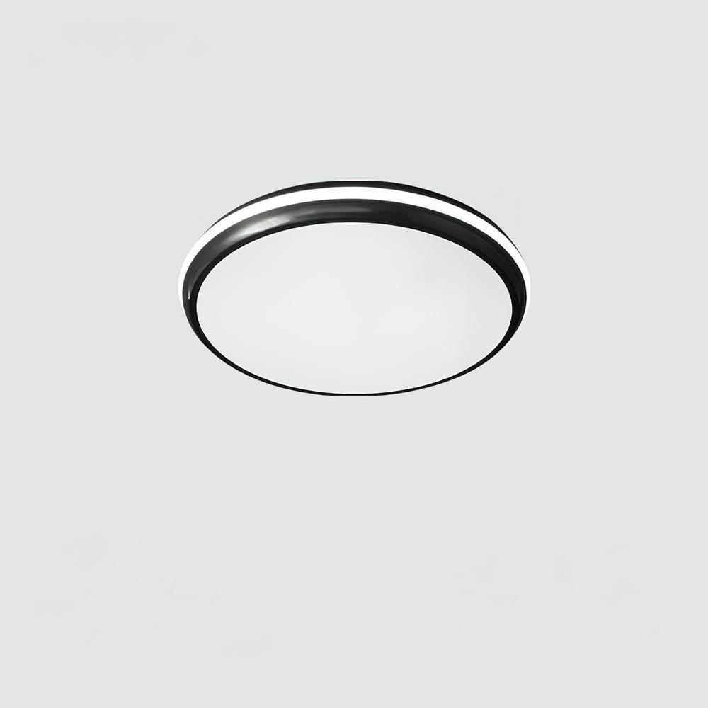 jameson-ceiling-light