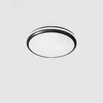 jameson-ceiling-light