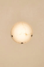 jellyfish-alabaster-wall-lamp