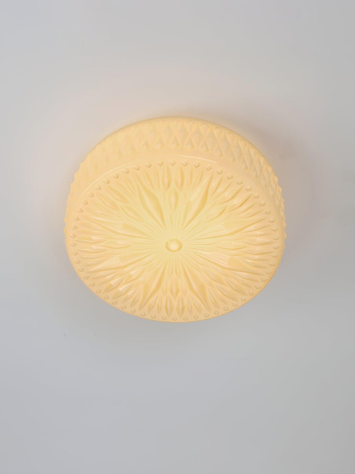 Adler Ceiling Light - ailampplus