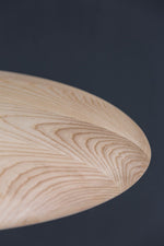 Kasa Pendant Lamp