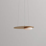 Kwic Modern LED Pendant Light in Glass and Iron for Living Spaces