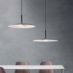 Chic Large Pendant Light