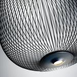 Spokes Cage Pendant Lamp