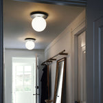 Celeste Wall Ceiling Lamp