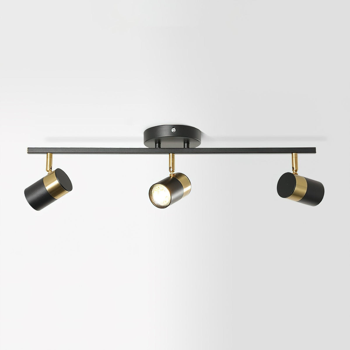 Linear Track Ceiling Light
