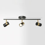 Linear Track Ceiling Light