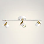 Linear Track Ceiling Light