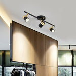 Linear Track Ceiling Light