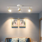 Linear Track Ceiling Light