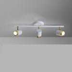 Linear Track Ceiling Light