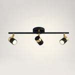 Linear Track Ceiling Light