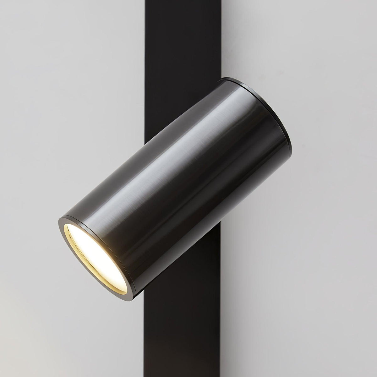 Long Arm Plug In Wall Light