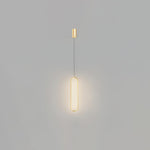 Long Oval Led Pendant Lamp
