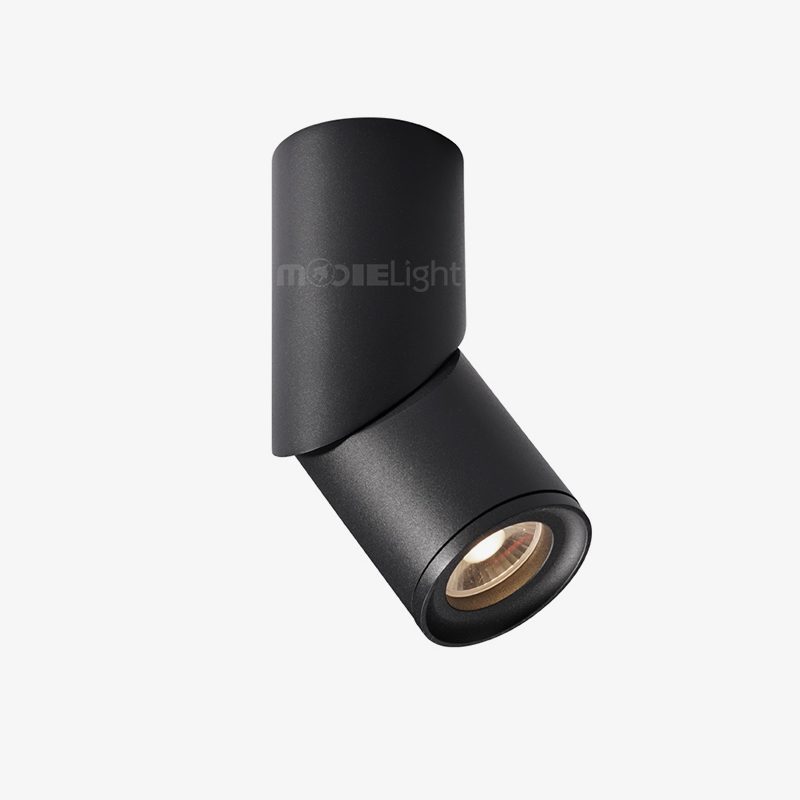 Long tube ring rotating downlight