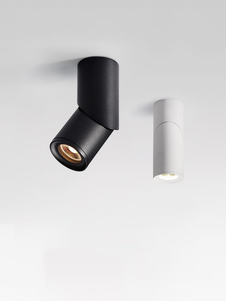 Long tube ring rotating downlight