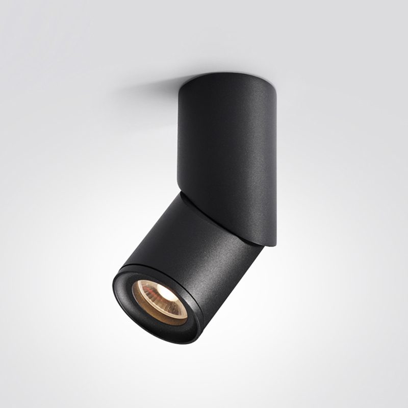 Long tube ring rotating downlight