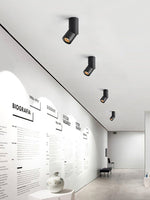 Long tube ring rotating downlight