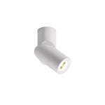 Long tube ring rotating downlight