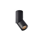 Long tube ring rotating downlight
