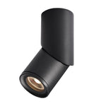 Long tube ring rotating downlight