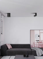 Long tube ring rotating downlight