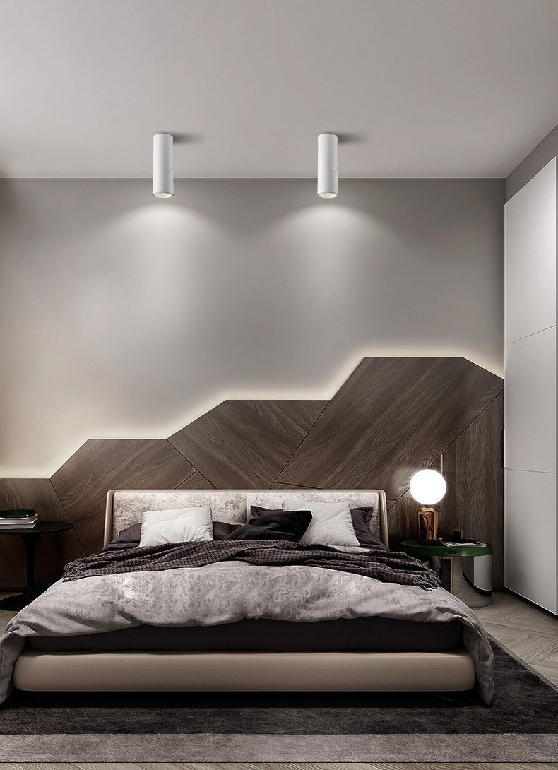 Long tube ring rotating downlight