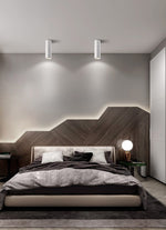 Long tube ring rotating downlight