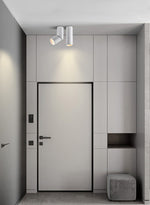 Long tube ring rotating downlight