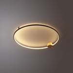 Loop Led Ceiling Light