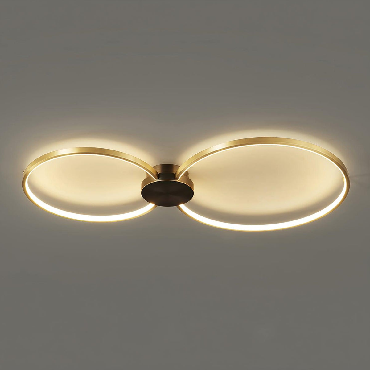Loop Led Ceiling Light