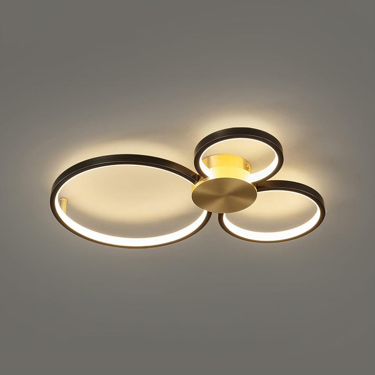 Loop Led Ceiling Light