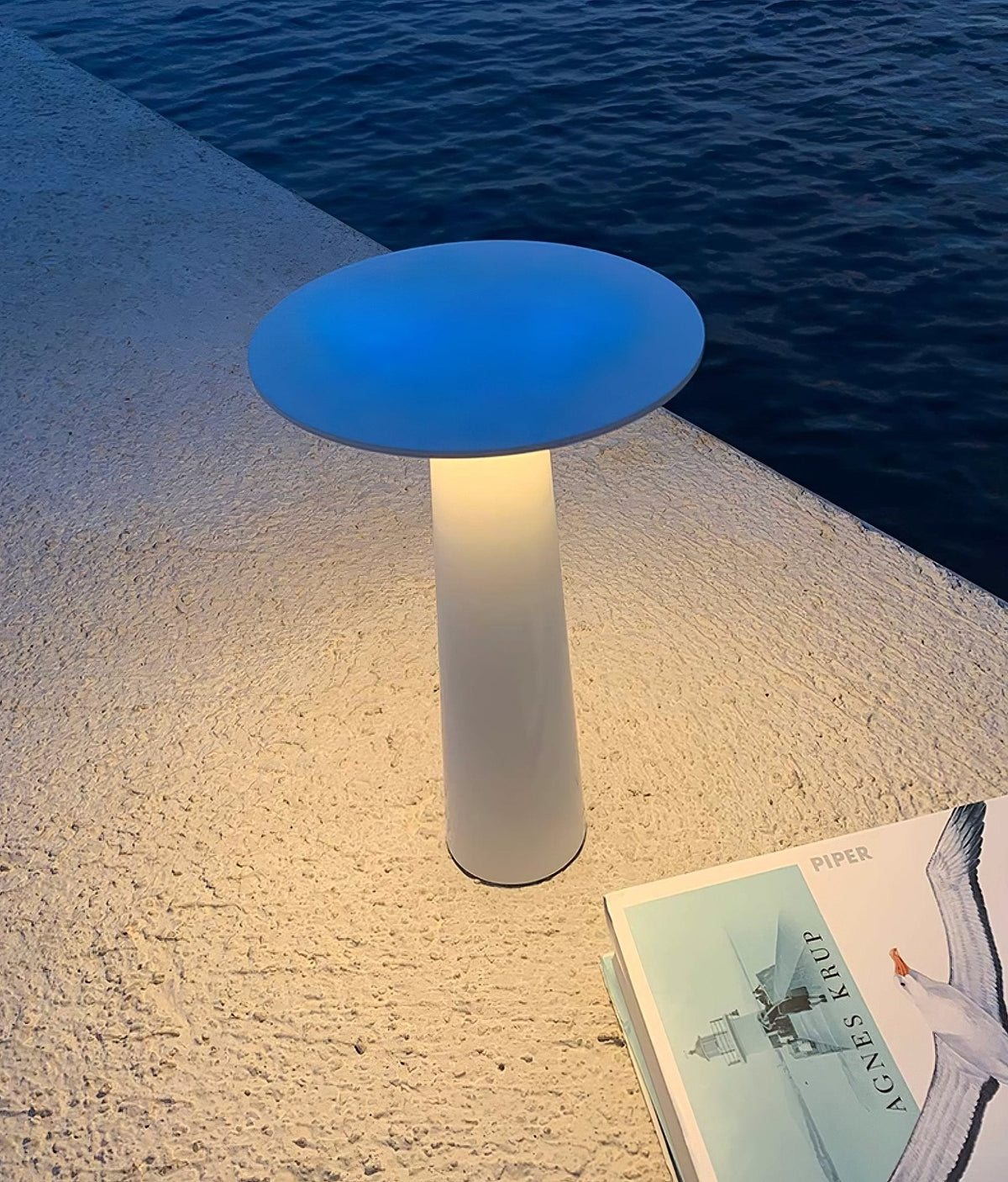 Luma Disk Solar-Powered Outdoor Table Lamp in Metal