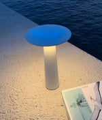 Luma Disk Solar-Powered Outdoor Table Lamp in Metal
