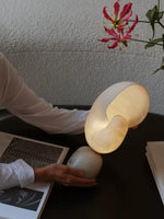 Lumora Shell Table Lamp in Alabaster and Brass by