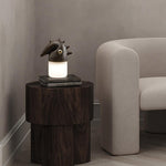Luolongzi Cordless Table Lamp with Horsehair Shade, Wood & Acrylic