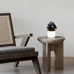 Luolongzi Cordless Table Lamp with Horsehair Shade, Wood & Acrylic