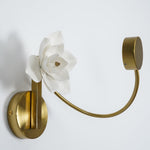 Lure Wall Light