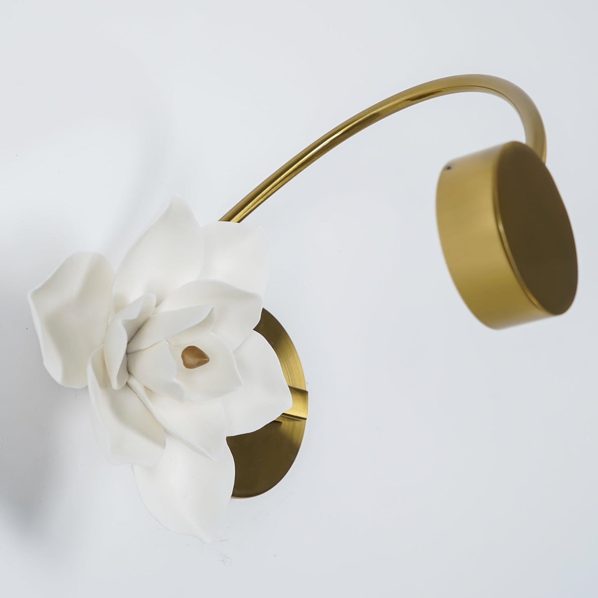 Lure Wall Light