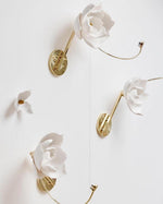 Lure Wall Light