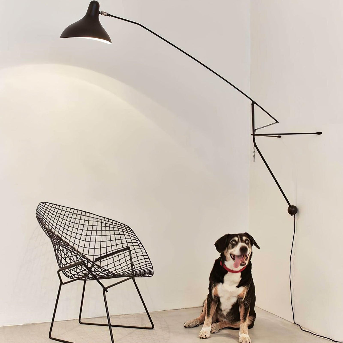 mantis-arm-wall-lamp