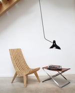 mantis-pendant-light