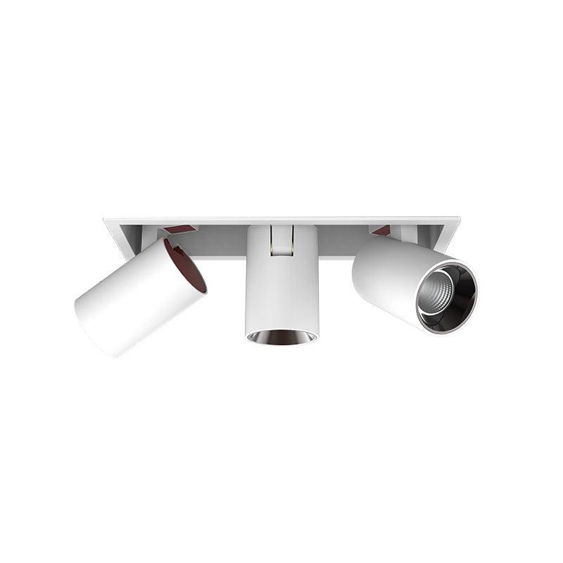 Adjustable Recessed LED Spotlight with Tiltable Cylinder Heads