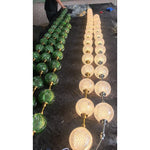 marni-beaded-chandelier